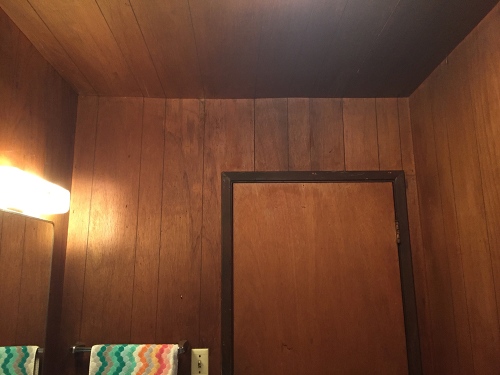 old paneling